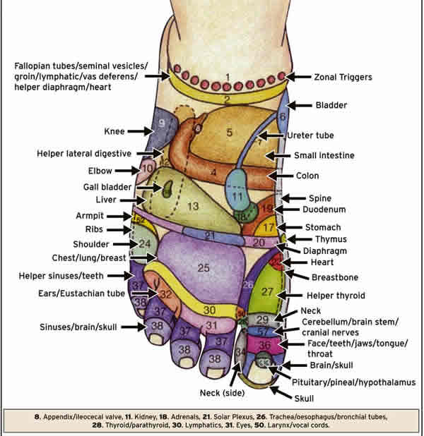 TOP OF FOOT ACUPRESSURE POINTS